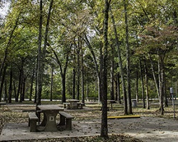 Dam Site Park Picnic Table